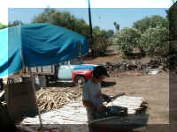 P7310021.JPG (62222 bytes)