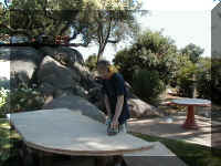 P7310022.JPG (62867 bytes)