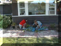 P7310026.JPG (62436 bytes)