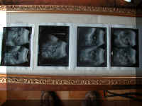 P9040102.JPG (56760 bytes)